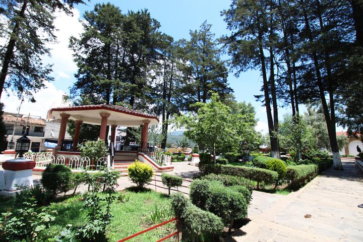 Jardín municipal
