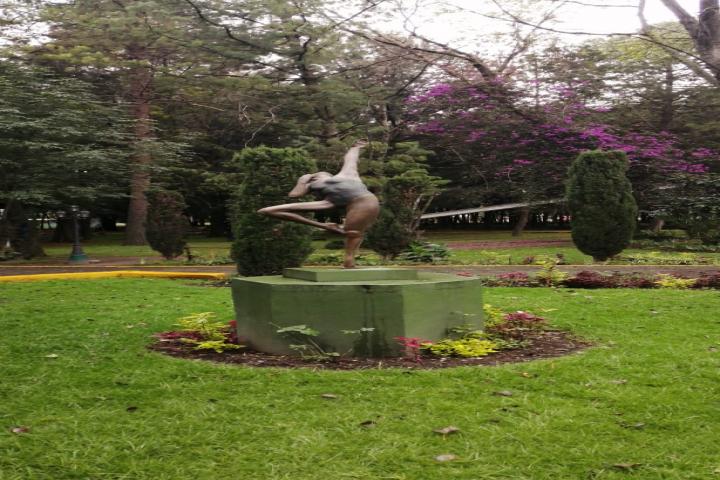 Parque Naucalli 1