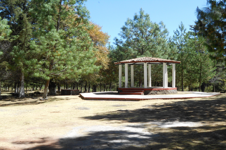 Parque El Llano